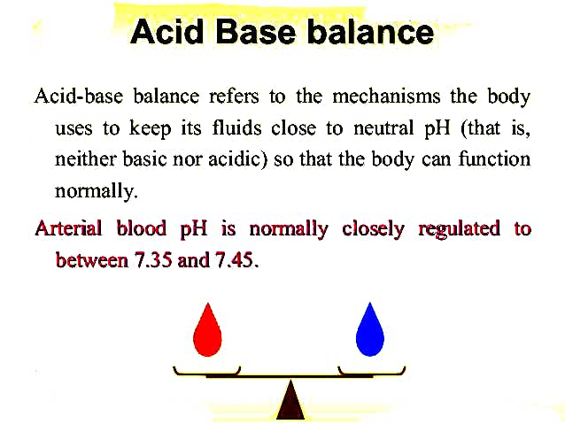 Anatomy and Physiology homework question answer, step 1, image 2